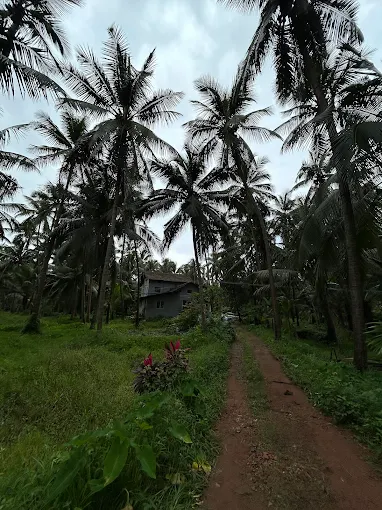 Lewis Homestay